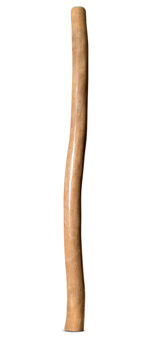 Earl Clements Didgeridoo (EC509)